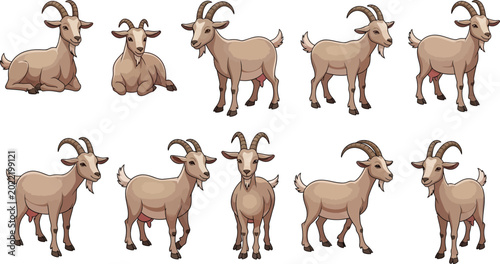 Foto Set of domestic goat livestock vector illustrations in various standing and walk