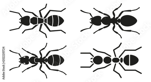Foto ant silhouettes flat design insect shapes on white background