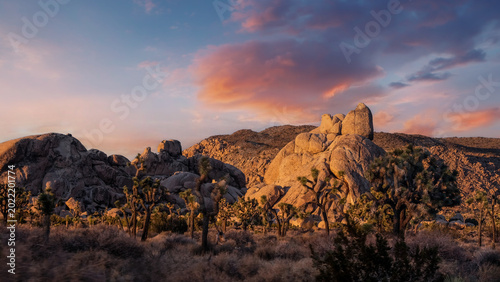 Beautiful landscape view of boulders, red rock formations, grass, cactuses from the hiking trail in Joshua Tree National Park, California,