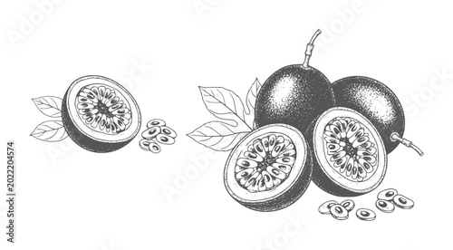 Hand drawn passion fruit halves and whole fruits with seeds and leaves passionfruit