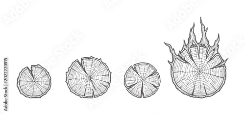 Fotografie Four wood grain cross sections showing growth rings and one burning