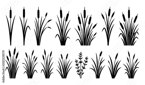 Black silhouettes of various types of meadow grass and reeds for nature design.