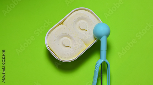 Bild auf Leinwand Vanilla ice cream, zenith view and copy space. Green background.