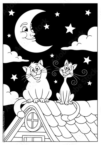 Cats on the roof of a house at night coloring page