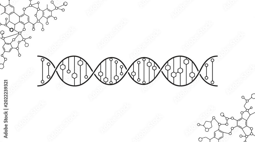 Fototapeta premium Scientific DNA double helix vector, molecular structure diagram on white background, biotechnology and genetic research illustration, medical science icon