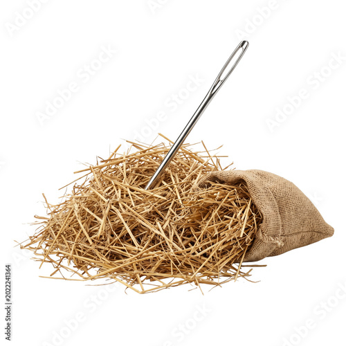 Needle in a Haystack - Searching for something specific and rare.
