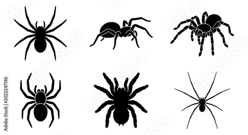 фотографія Six Black Spider Silhouettes, Arachnid Vector Icons, Creepy Crawly Insect Graphi