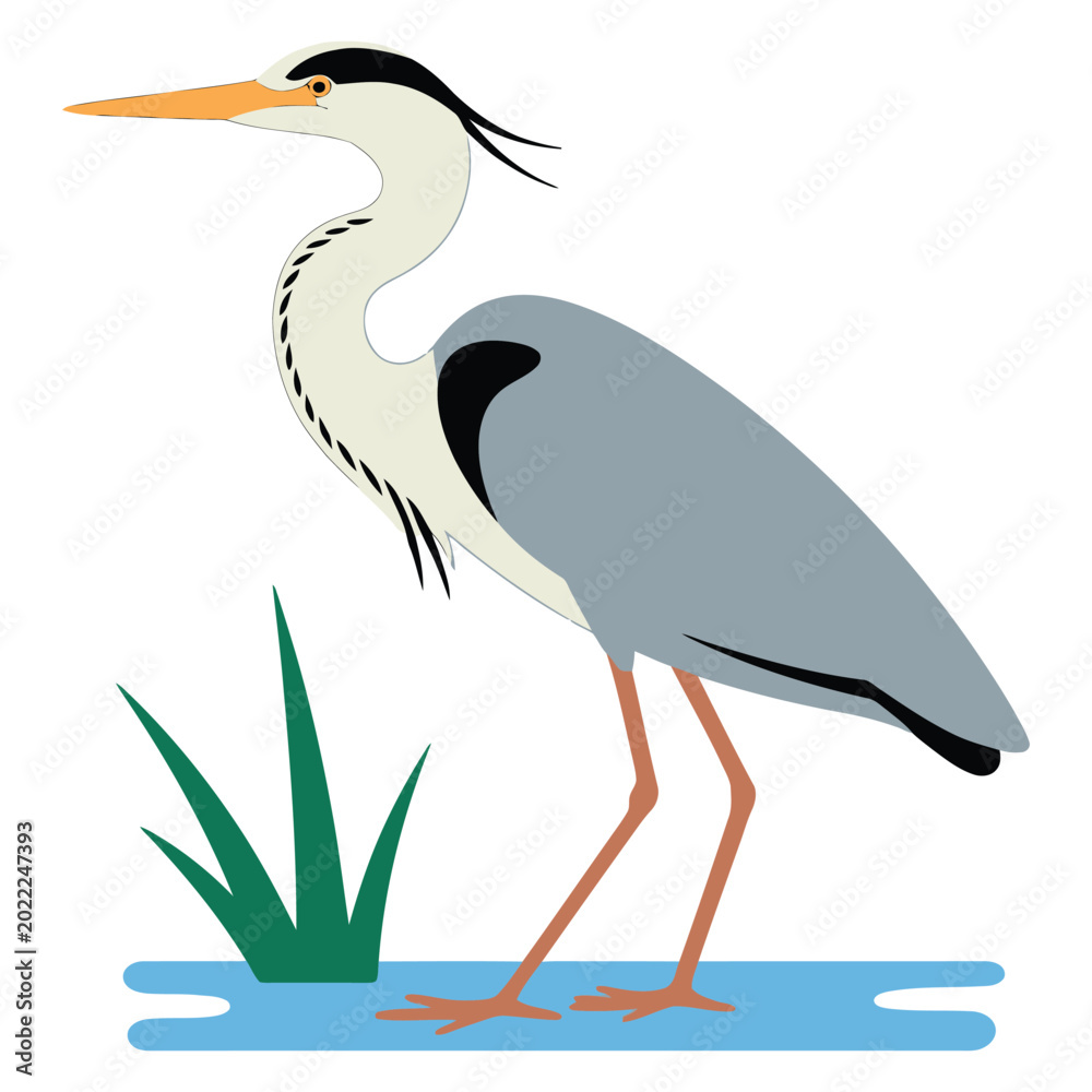 Naklejka premium heron on the beach