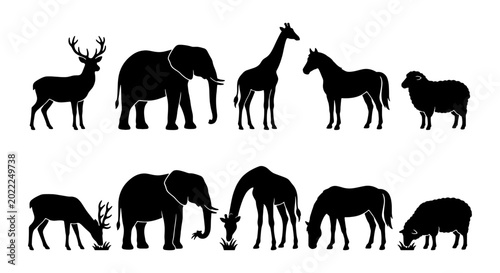 Photography Diverse Animal Silhouettes Collection, Wildlife Icons Set, Farm and Safari Creat