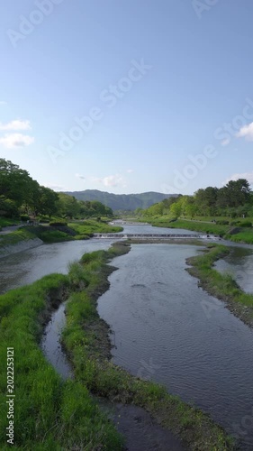 Fresh Greenery Along Kyoto Kamogawa River Under Blue Sky, Relaxing Early Summer Scenery in Japan