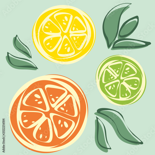 Vibrant hand drawn illustration of citrus fruit slices, featuring an orange, lemon, and lime with stylized green leaves in a minimalist doodle style on a soft mint green background.