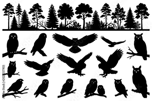 Silhouette owls and trees in forest landscape.