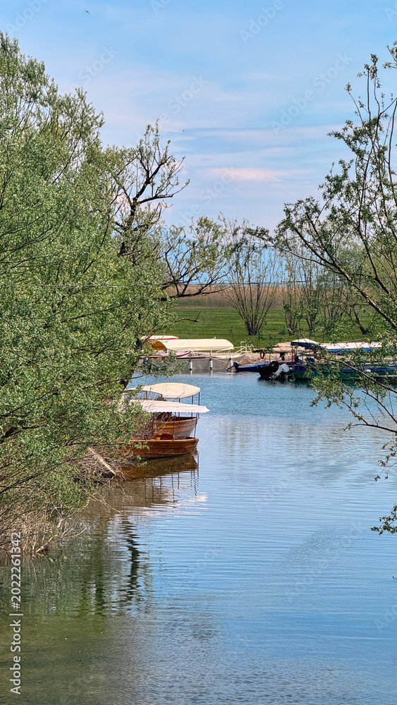 Obraz premium Boats on Skadar Lake near Virpazar moored among willow trees at calm inlet