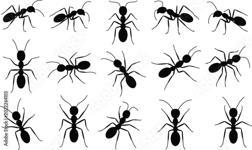 Fotografía Black ant silhouette vector collection, crawling insect icons isolated bug illus
