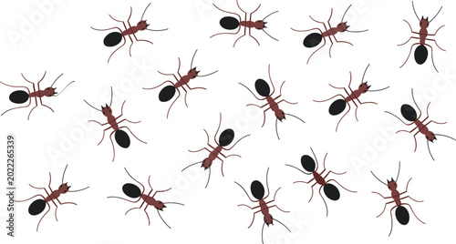 Bild auf Leinwand Cartoon ant insects vector collection, crawling bug characters isolated nature i