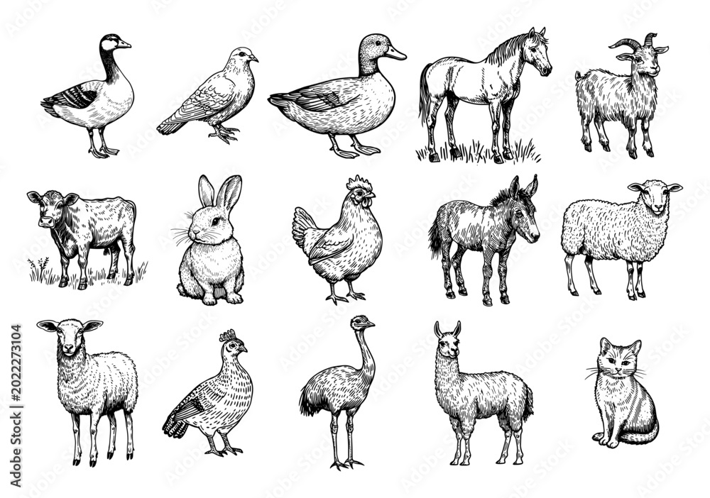 Obraz premium Farm animals collection featuring horse cow sheep and birds in vintage engraving style