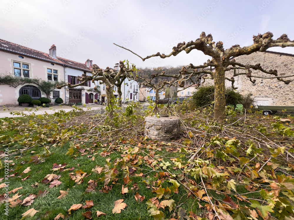 Obraz premium Frozen vineyard in autumn yellow photography 