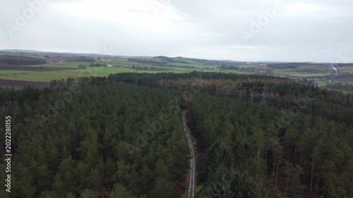 aerial drone shot of commercial plantation community woodland transformation project conifer woodland spruce pine treetops cloudy day powerlines pylons infrastructure