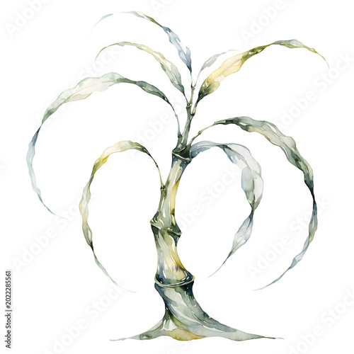 Small watercolor painting of a green tropical palm tree isolated on transparent background