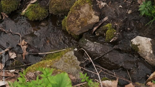 A small stream flowing between moss-covered fallen logs and rocks