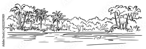 Fotografie amazon rainforest river jungle landscape sketch