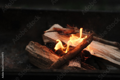 Burning firewood in a metal brazier outdoors. Bright orange fire flames and glowing embers in a barbecue grill closeup