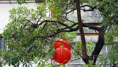 Canvastavla jakarta, indonesia - circa february 2026: red lanterns in glodok