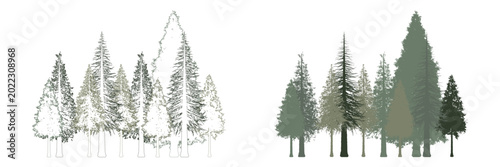 Cuadro en lienzo Architectural CAD tree elevation set with minimal line drawing and filled silhou