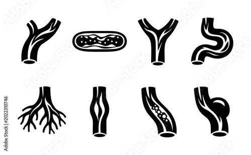 Foto Set of stylized icons representing different blood vessels and circulatory syste
