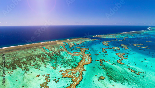 Vibrant Coral Reef Formations in Crystal Clear Blue Water