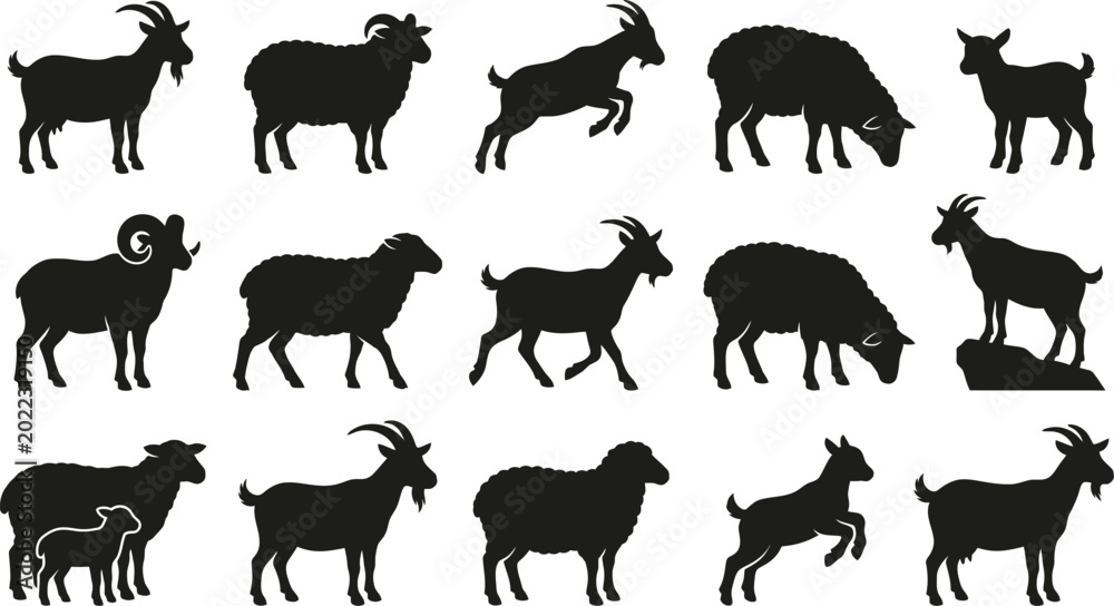 Fototapeta premium Black silhouettes of goats and sheep in various poses, standing and walking white background