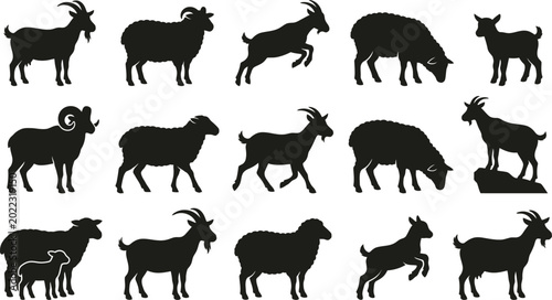 Cuadro en lienzo Black silhouettes of goats and sheep in various poses, standing and walking whit
