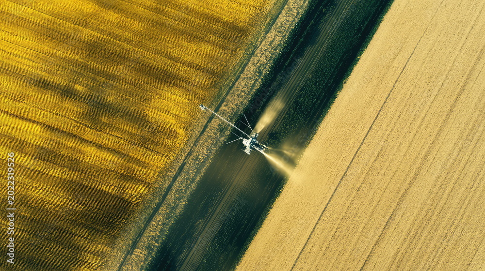 Fototapeta premium Advanced agricultural pivot irrigation system watering fields of sustainable crops, ensuring growth and yield for modern farming and food production from an aerial perspective