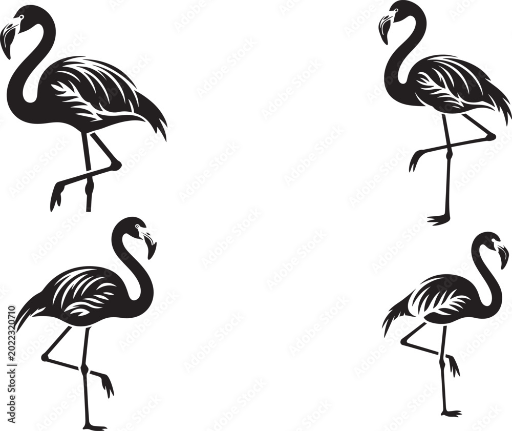Obraz premium Four black flamingo silhouettes on isolated white background for design