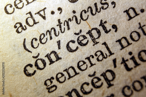 Word concept on dictionary page, macro close up