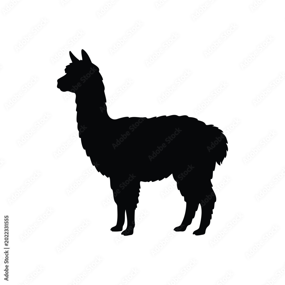 Obraz premium Black silhouette of alpaca icon vector flat design.
