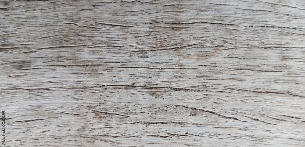 Fototapeta premium Weathered driftwood texture background, rustic gray wood grain surface, aged timber plank with natural cracks and organic patterns