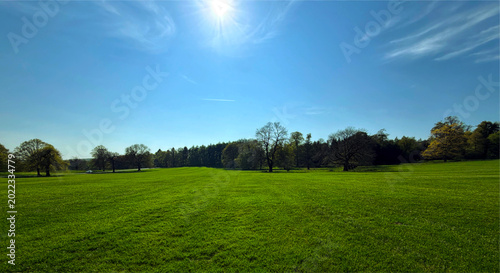 A wide, open field extends beneath a clear blue sky, with the sun beaming down. Scattered trees break up the expanse, adding contrast to the lush green grass in Harewood, Leeds, UK.