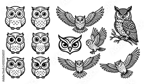 Obraz na plátně Hand drawn owl line art vector illustration set with detailed wildlife bird desi