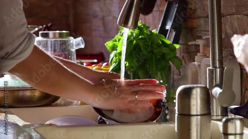 Close up of a housewife hands, wearing a wedding ring, using a sponge to wash a ceramic dinner plate under strong stream of running water from a kitchen tap. Green herbs are in the blurred background