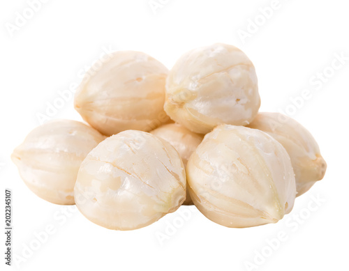 Freshly peeled candlenuts isolated on Transparent Background PNG ready to use.