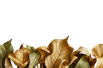 Autumn dry leaves border creating falling foliage seasonal design element with transparent background