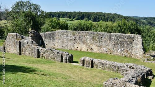 Fotografia Domfront Castle (French: Château Domfront) Ruins Filled with Grass with View of