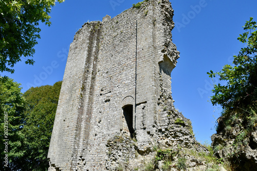 Domfront Castle (French: Château Domfront) Tall Freestanding Wall Ruin Detail