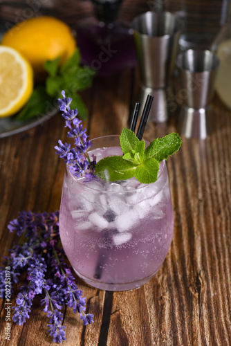 Mojito cocktail with lavender flavor, served with mint and lavender sprigs