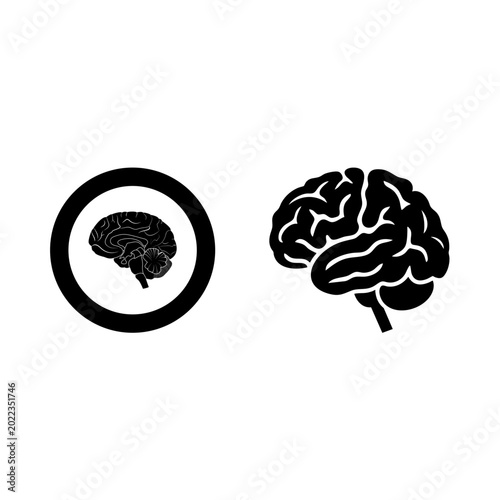 Bild auf Leinwand human brain vector illustration on a white background.