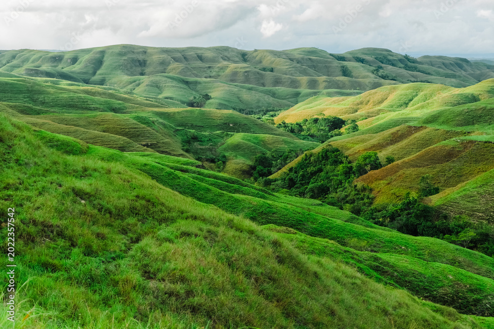 Fototapeta premium Wairinding Hill Scenic Rolling Grassland Savanna Landscape in East Sumba