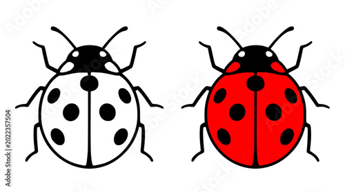 Ladybug illustration, in line art and colored design, for coloring page