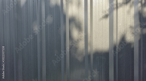 Schilderij op canvas Tree shadow on corrugated galvanized iron sheet