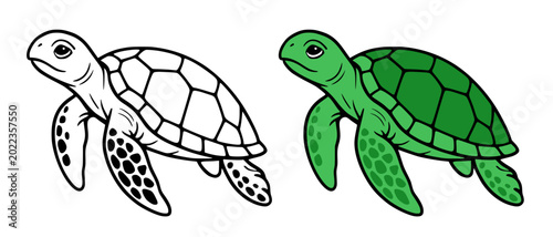 Canvas-taulu Sea turtle illustration, in line art and colored design, for coloring page